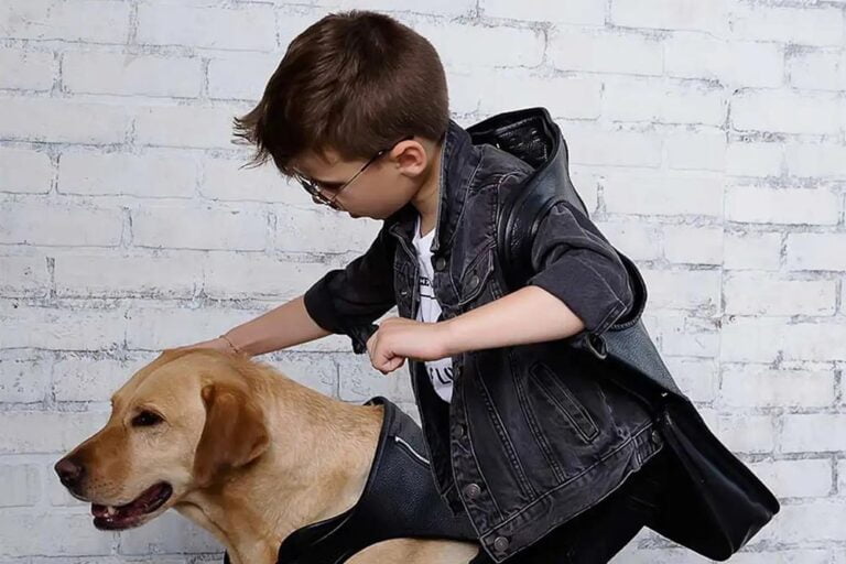 Leather School Backpacks for Kids Durable and Stylish